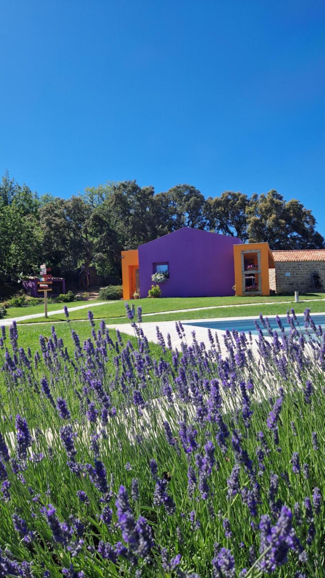 Limbara Dreaming Hotel Tempio Pausania Kültér fotó