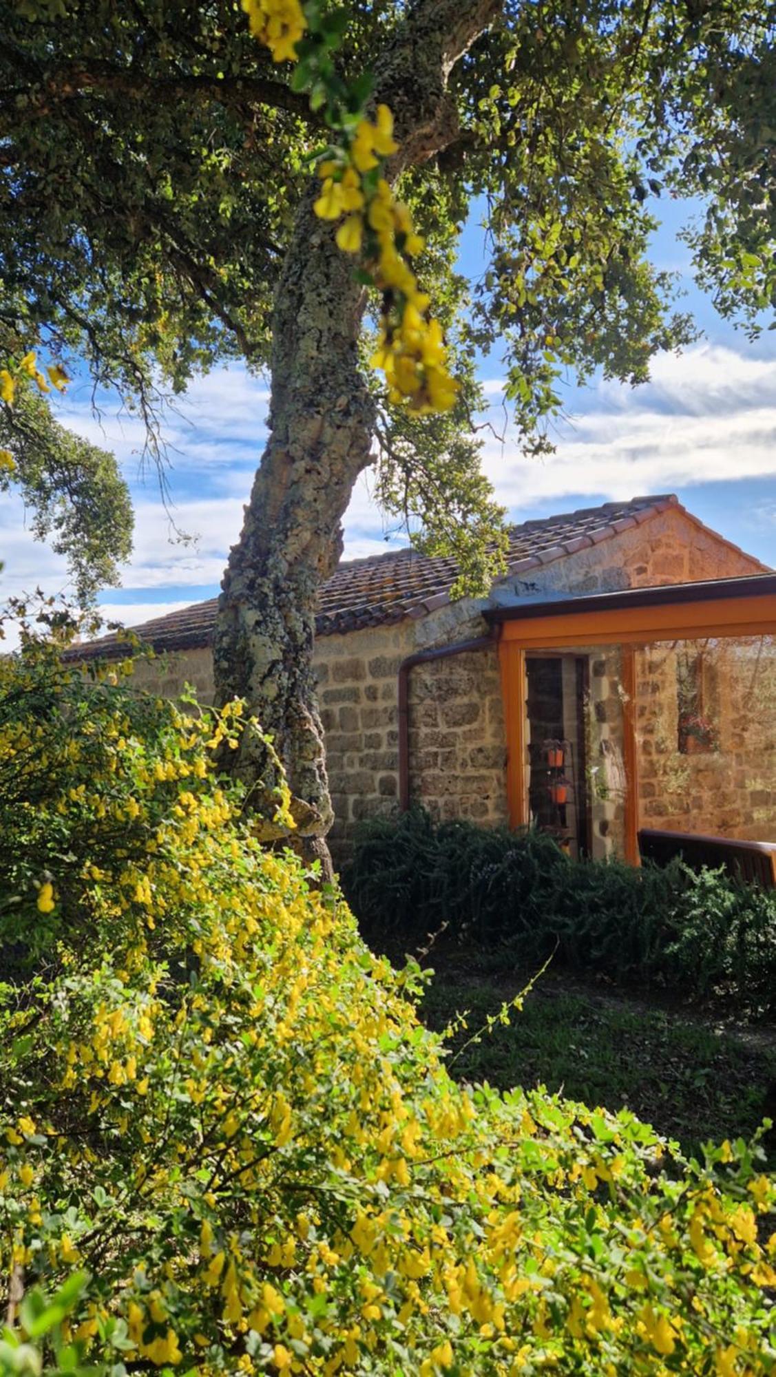 Limbara Dreaming Hotel Tempio Pausania Kültér fotó