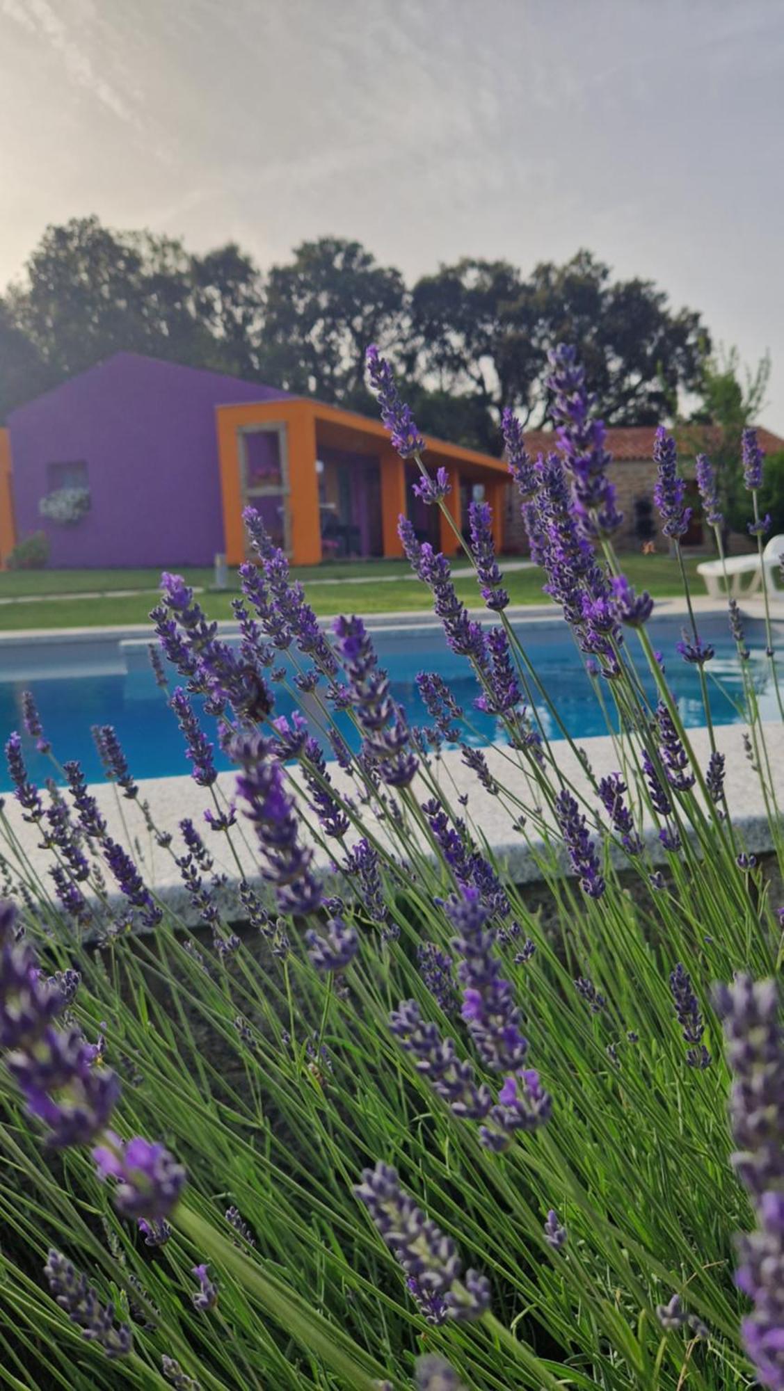 Limbara Dreaming Hotel Tempio Pausania Kültér fotó