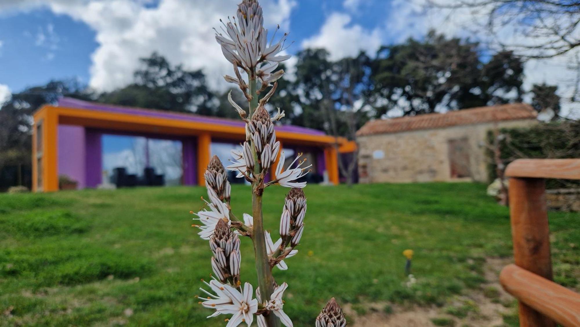 Limbara Dreaming Hotel Tempio Pausania Kültér fotó