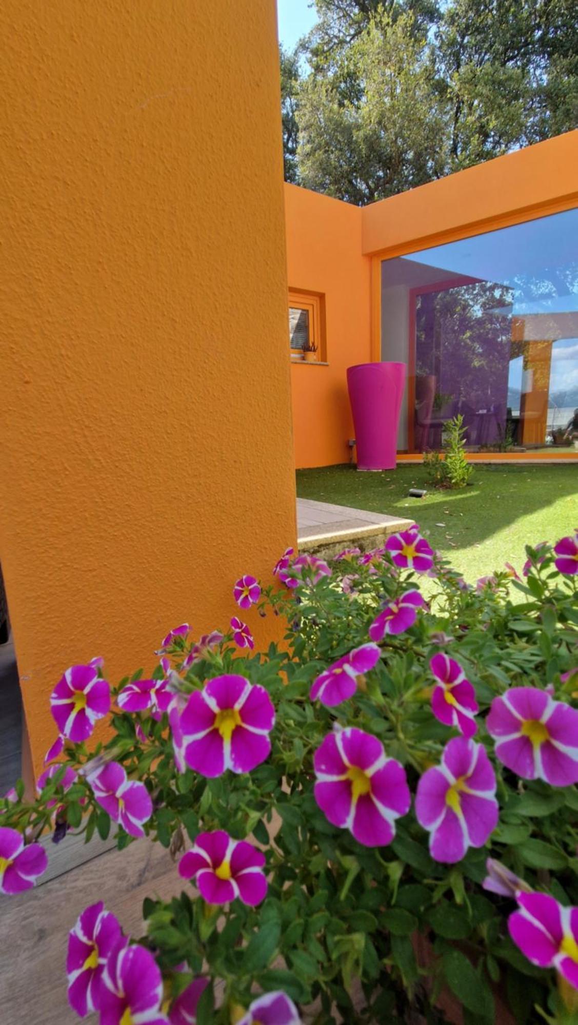 Limbara Dreaming Hotel Tempio Pausania Kültér fotó